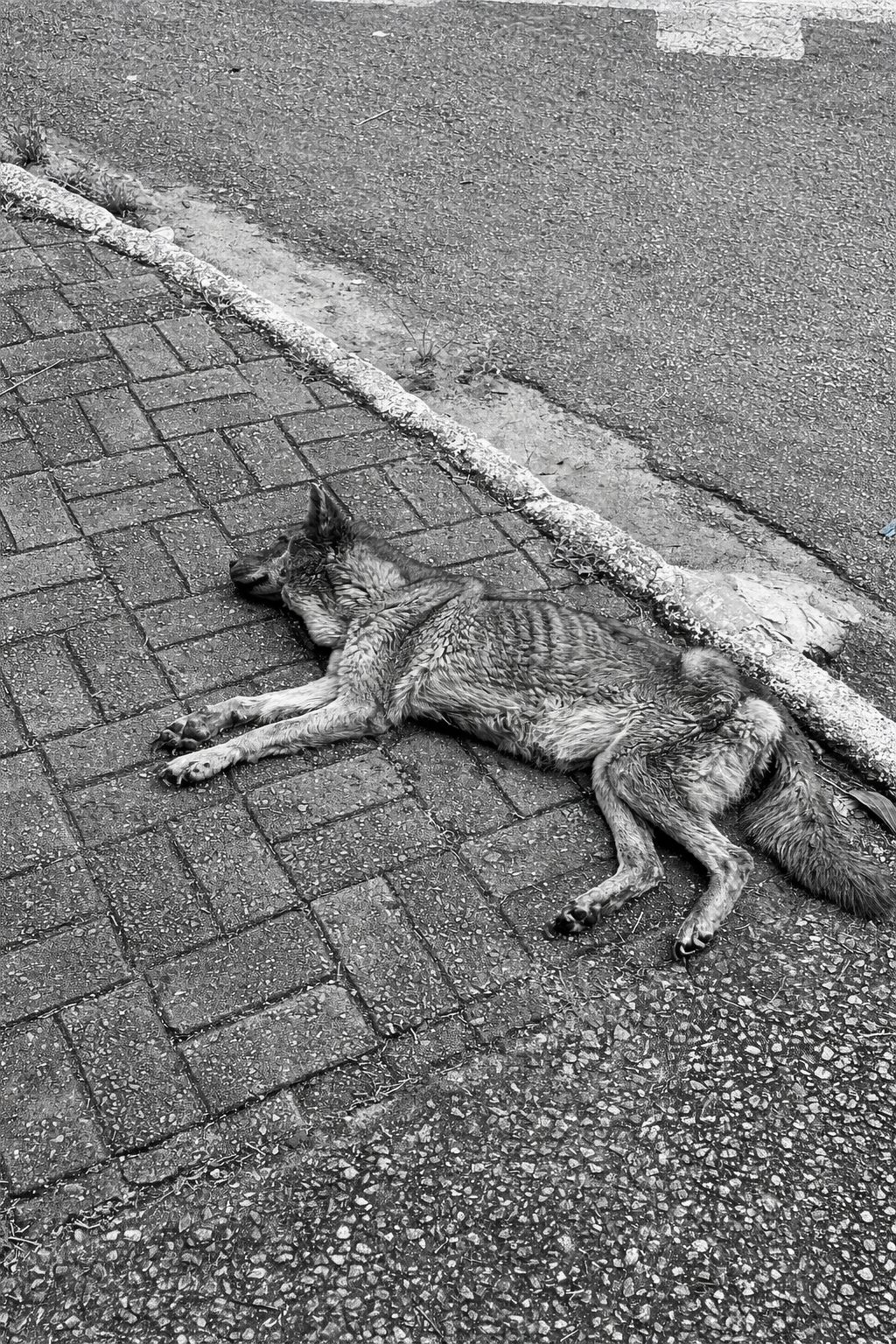 Banner de Promoção